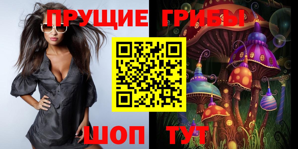 Туймазы  Галлюциногенные грибы Cubensis  Вход с VPN 